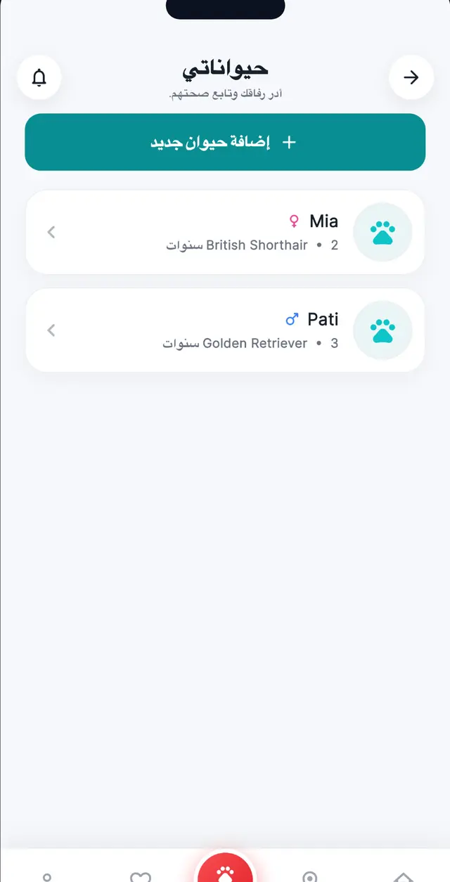بطاقات الحيوانات